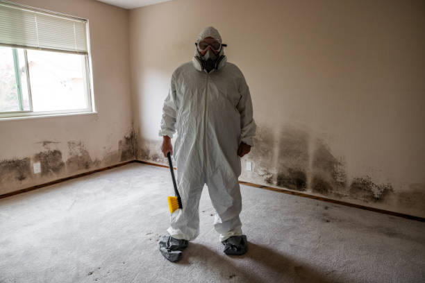 Water Damage Restoration in New Castle, DE